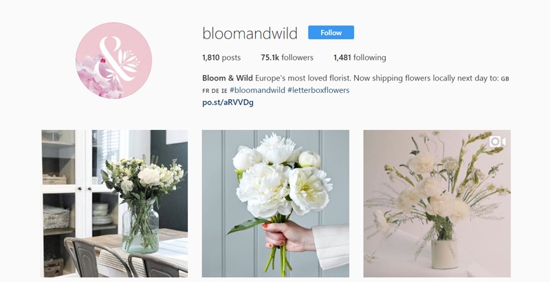 bloom-and-wild-instagram-campaign