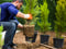 4 Strategies to Grow Your Landscaping Business