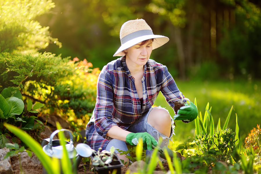 landscape customer ideal buyer persona